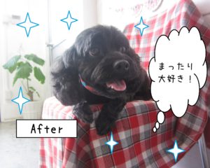 仕上がりミックス