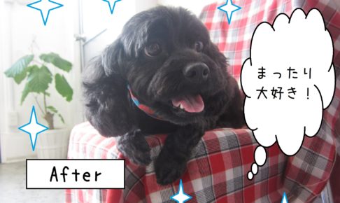 仕上がりミックス