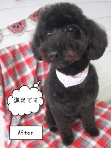TPのクッキーちゃん施術後
