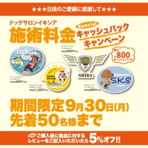 キャッシュバックキャンペーン説明文01