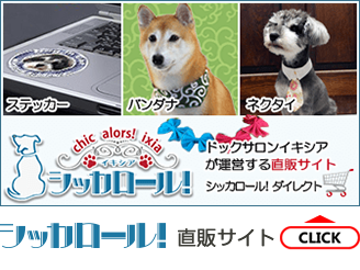 自社サイト犬のグッズ販売