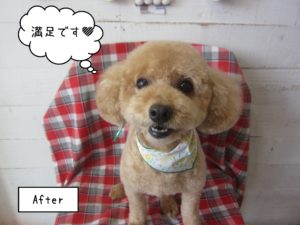 TPのマルちゃん施術後