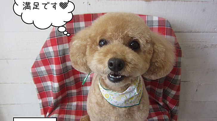 マルちゃんアイキャッチ