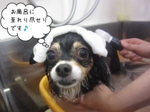 お風呂ミックス