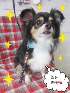 仕上がりミックス