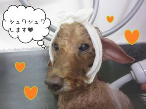 TPのケイちゃんスパ中