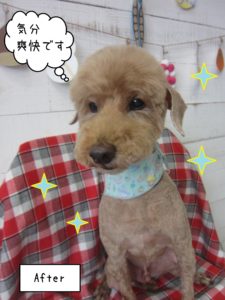 TPのケイちゃん施術後