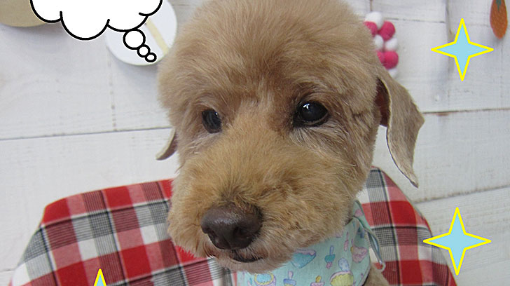 ケイちゃんアイキャッチ