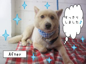 仕上がりミックス