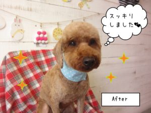 TPの大吾ちゃん施術後