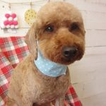 大吾ちゃんアイキャッチ