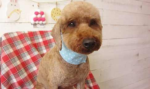 大吾ちゃんアイキャッチ