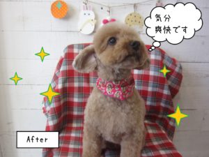 TPのあいちゃん施術後