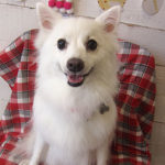 モナちゃんアイキャッチ