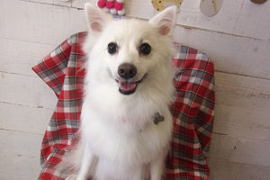 モナちゃんアイキャッチ