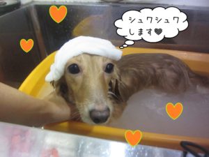 MDのゆめちゃんスパ中