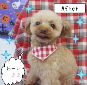 MIXのりくちゃん仕上がり