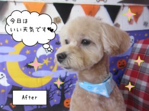 MIXのりくちゃん施術後