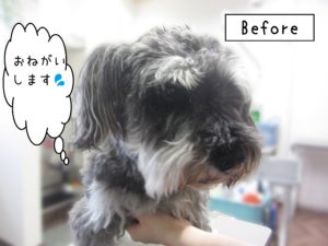 よろしくＭシュナ