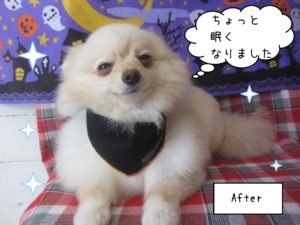 PMの雪ちゃん施術後