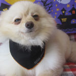 雪ちゃんアイキャッチ