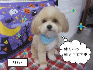 MIXのりくちゃん施術後