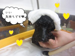 TPのリンちゃんスパ中