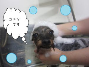 シャンプーミックス