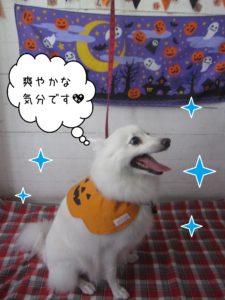 SPのモナちゃん施術後