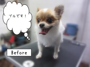 よろしくミックス