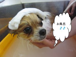 お風呂ミックス