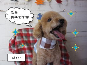 TPのマルちゃん施術後