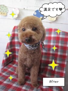 TPのゆずちゃん施術後