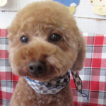 ゆずちゃんアイキャッチ