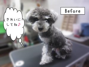 よろしくＭシュナ