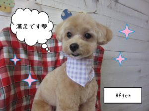 MIXのりくちゃん施術後