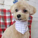 りくちゃんアイキャッチ