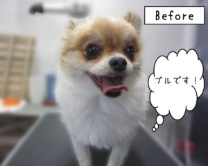 よろしくミックス