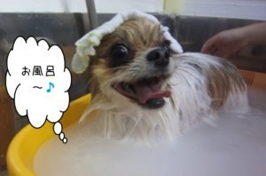 お風呂ミックス