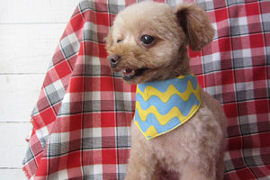 バニラちゃんアイキャッチ