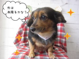 MIXの小春ちゃん施術後