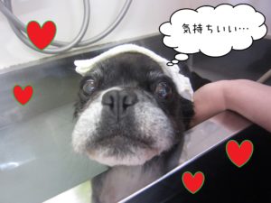 MIXのポコちゃんスパ中