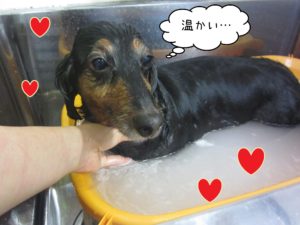 MDの翔ちゃんスパ中