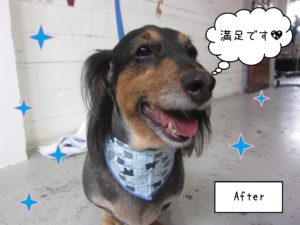 MDの翔ちゃん施術後