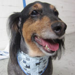 翔ちゃんアイキャッチ