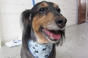 翔ちゃんアイキャッチ