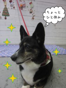 WCのおりょうちゃん施術後