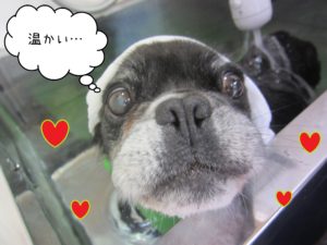 MIXのポコちゃんスパ中