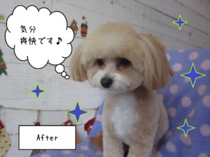 MIXのりくちゃん施術後