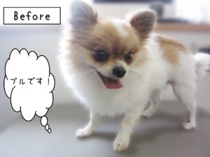 よろしくミックス